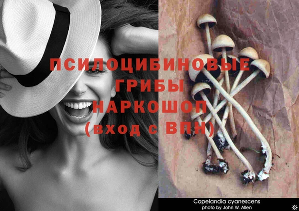 первитин Новозыбков