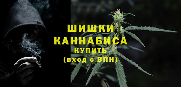 первитин Новозыбков
