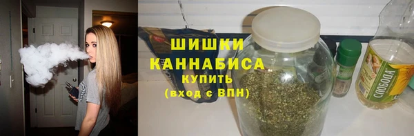 ПСИЛОЦИБИНОВЫЕ ГРИБЫ Новодвинск