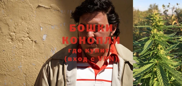 первитин Новозыбков