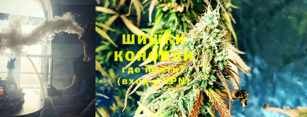 молекула духа Нягань
