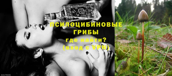 первитин Новозыбков