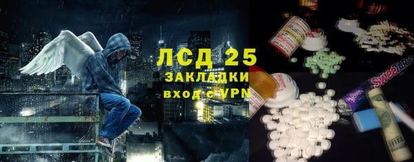 ГАЛЛЮЦИНОГЕННЫЕ ГРИБЫ Верея