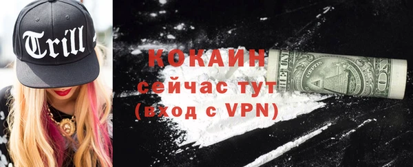 ПСИЛОЦИБИНОВЫЕ ГРИБЫ Новодвинск