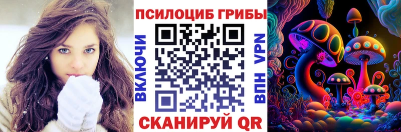 купить наркотики цена  Пудож  Галлюциногенные грибы Psilocybine cubensis 