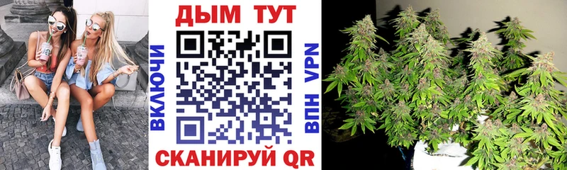 Канабис VHQ  Пудож 